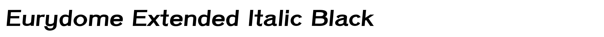 Eurydome Extended Italic Black image